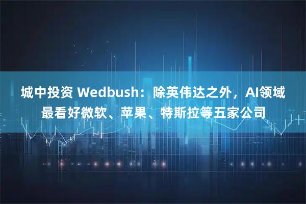 城中投资 Wedbush：除英伟达之外，AI领域最看好微软、苹果、特斯拉等五家公司