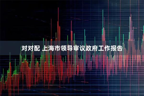 对对配 上海市领导审议政府工作报告